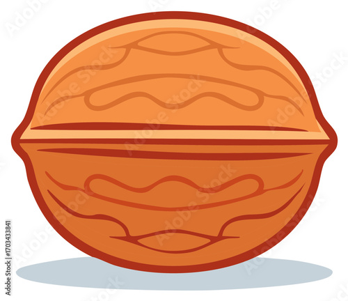 Stylized Walnut Nut in Shell Vector Graphic for Healthy Food and Snack Concepts