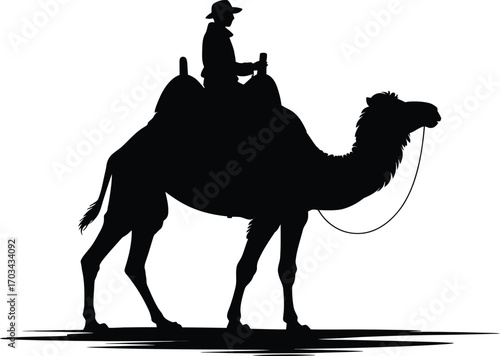 Camel rider silhouette desert travel