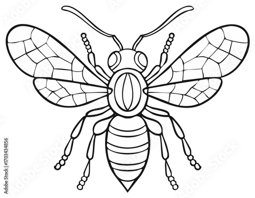Black and white outline illustration of a detailed bee with spread wings and antennae