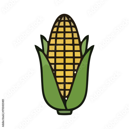 Fresh Corn on the Cob Illustration