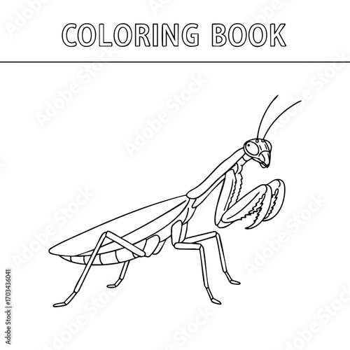 Detailed black and white line drawing of a praying mantis insect for a coloring book page with clear outlines