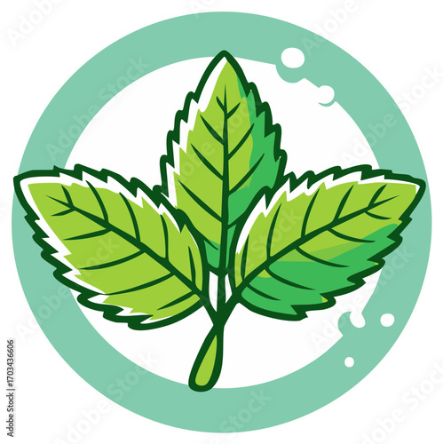 Stylized green mint leaves in a refreshing circle with small bubble elements