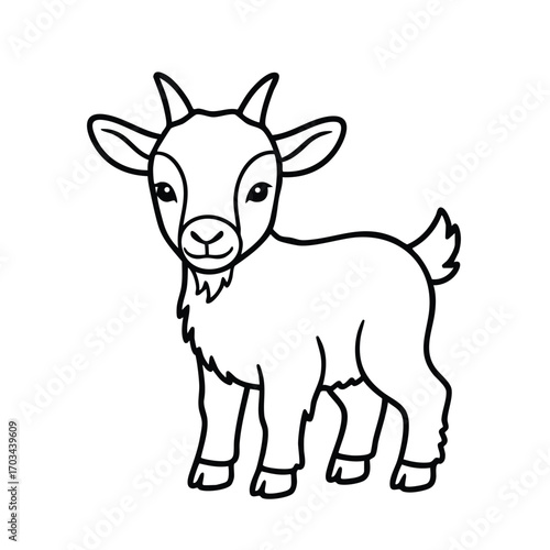 Cute young goat standing with small horns and a short tail in a simple black and white line art style illustration