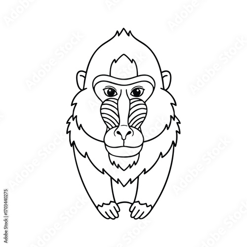 Black and white line drawing of a mandrill monkey facing forward with detailed facial features and fur texture
