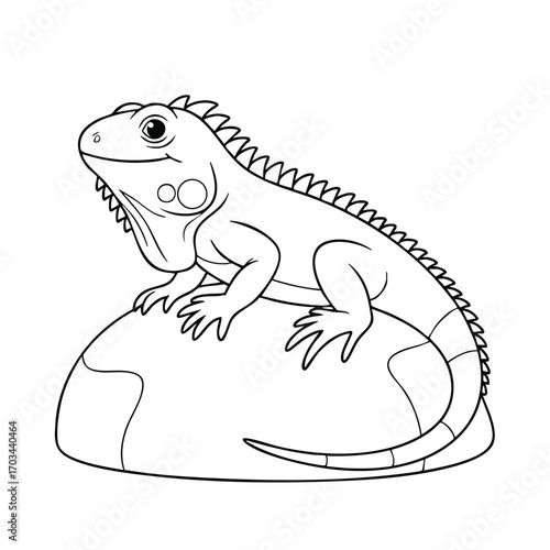 Detailed black and white line drawing of a lizard resting on a large rock with visible scales and claws