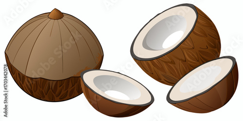 A realistic, high-resolution image of a coconut in different stages of being opened, placed on a clean white background. The image includes one whole brown coconut with a rough, fibrous shell; a half 