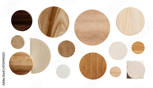 Assorted wood veneer circles and a square.  Various shades and grains of light and dark wood.  Different shapes, including circles and a section of a circle.  Design elements