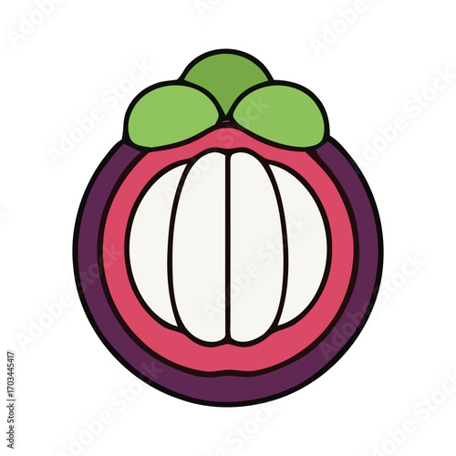 Vibrant Vector Illustration of a Halved Tropical Mangosteen Fruit, Showcasing its White Segments and Deep Purple Rind on a Clean Background