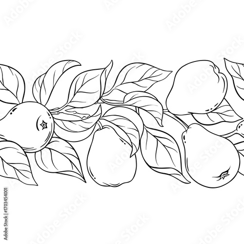 Pear Branch with Flowers, Fruits and Leaves Outline Horizontal Seamless Pattern. Organic natural nutritional healthy food ingredient, vegetarian diet product. Vector isolated for design or decoration.