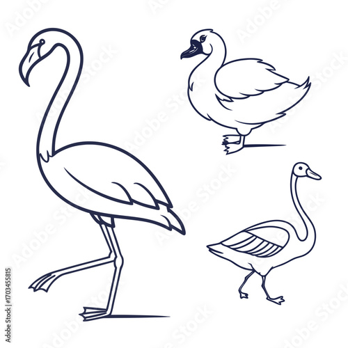 Vector art of a delightful assortment of three bird illustrations, featuring a flamingo, a swan, and a duck, each depicted with simple yet elegant lines, ideal for a range of creative applications