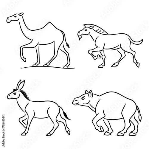Collection of four stylized line art illustrations of domesticated animals including a camel horse donkey and llama
