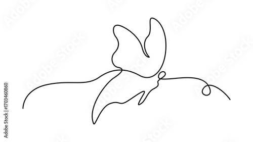 Flying Butterfly  Continuous One Line Drawing with Curving Tail insect animal