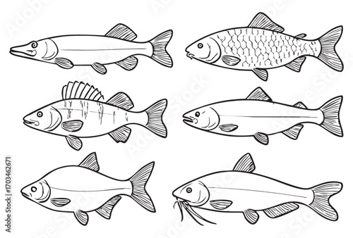 A set of 8 black and white (silhouette) fish icons in line art style. Each icon is simple, minimalistic, with outlines without fill, with details of scales and fins.