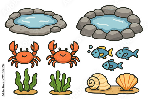 Cartoon crabs and fish in water pools with seashells and seaweed