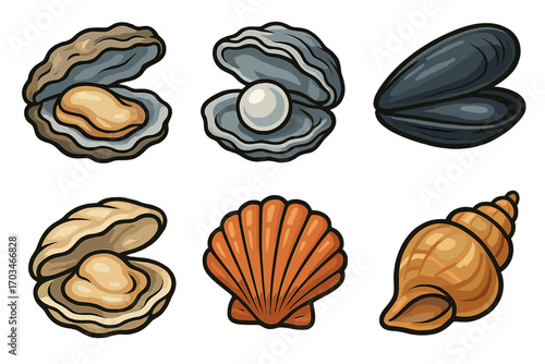 Collection of various seashells and pearls illustrations