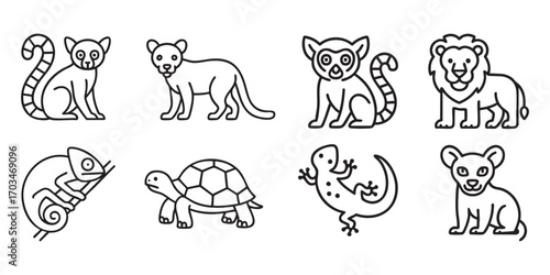 8 simple line drawings (outlines) of animals from Madagascar in the style of minimalist illustrations, drawn with thin black lines on a white background