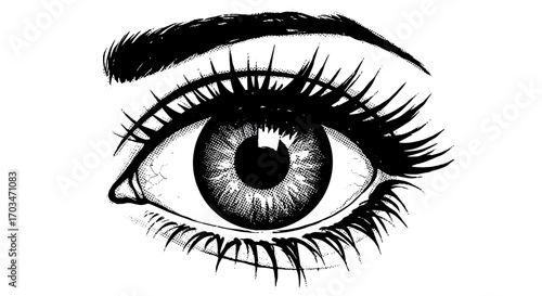 Detailed monochrome drawing of a human eye with long lashes and eyebrow