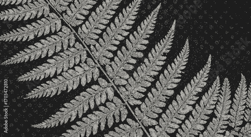 Monochrome fern frond illustration with retro halftone texture for backgrounds