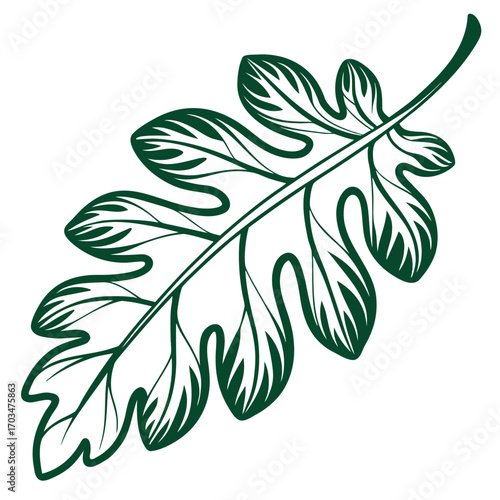 Stylized dark green outline drawing of an oak leaf. Ideal for nature, ecology, botanical blogs, or sites on forestry, heritage, and growth concepts