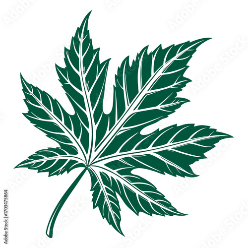 A detailed, hand-drawn vector illustration of a fig leaf. This image would be ideal for websites and blogs related to nature, health, and organic products.

