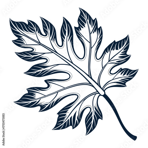 A detailed, hand-drawn vector illustration of a fig leaf. This image would be ideal for websites and blogs related to nature, health, and organic products.

