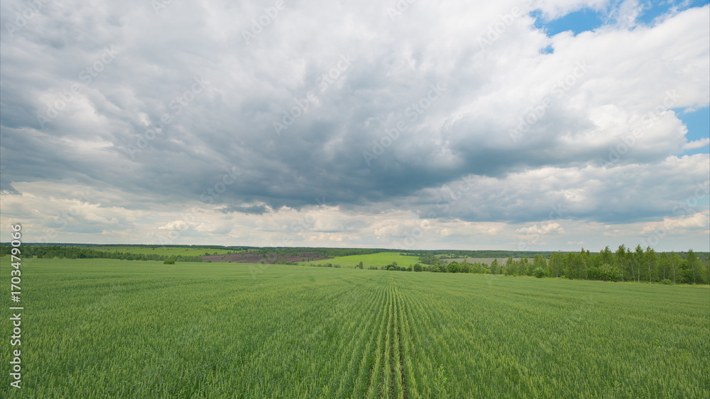 Fototapeta premium Lush green fields beautifully spread beneath a dramatic, expansive cloudy sky, an ideal scene