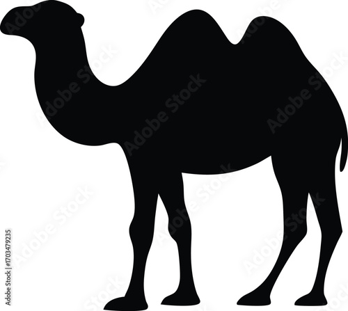 camel silhouette, hump, desert landscape, minimalist, black and white, animal illustration

