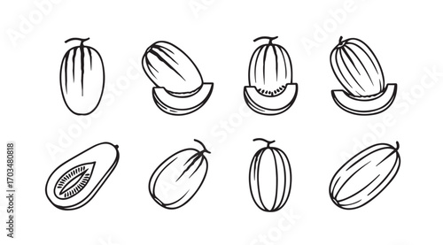 Collection of hand drawn melon fruit silhouettes with slices
