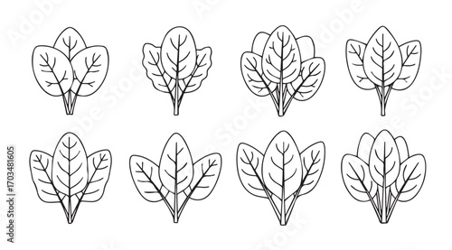 Collection of eight stylized spinach leaf silhouettes in a simple line art style