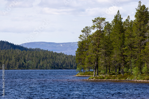 Nordic wilderness nature background with mountain lake and pine trees