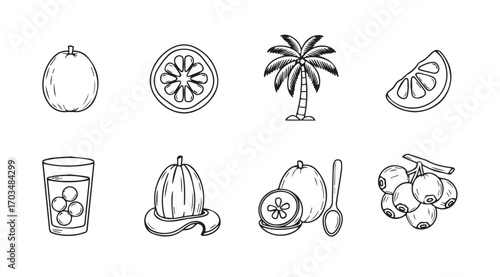 Collection of hand drawn coconut fruit and palm tree silhouette illustrations