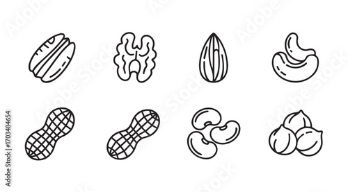 Collection of various nut silhouettes in a simple line art style