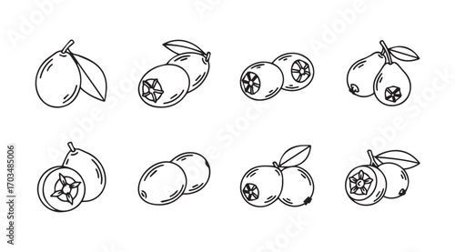 Collection of various fruit silhouettes with leafy stems and cut sections silhouette