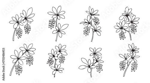 Collection of delicate floral branch silhouettes in a sketchy artistic style