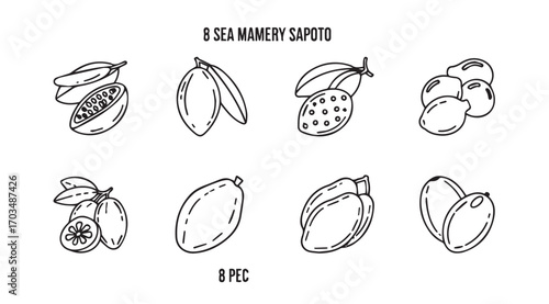 Collection of hand drawn cocoa pods and beans silhouette