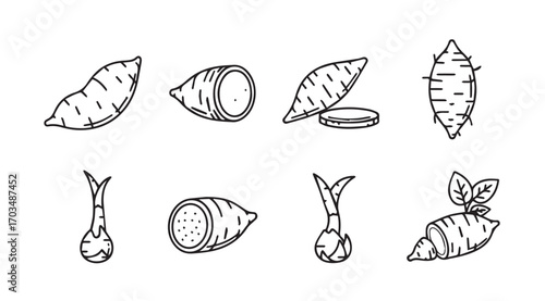 Collection of hand drawn sweet potato illustrations in silhouette style