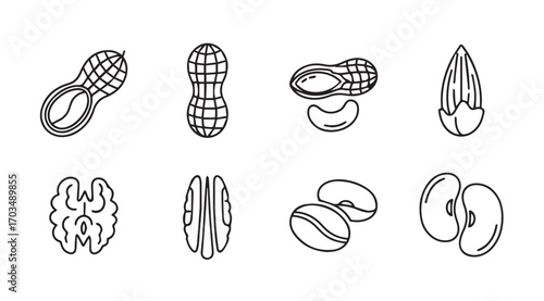 Collection of various nuts and seeds depicted in a simple line drawing silhouette style