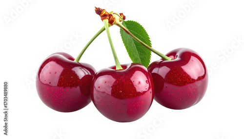 Three glossy red cherries with green leaves