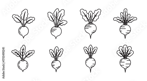 Collection of hand drawn radish vegetables in a simple silhouette style