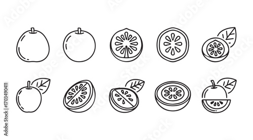 Collection of kumquat fruits and slices in a minimalist line art silhouette