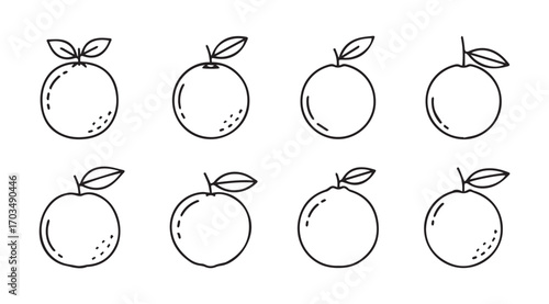 Collection of hand drawn fruit silhouettes with leaves in outline style