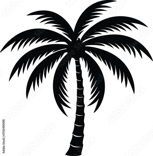 palm tree silhouette
