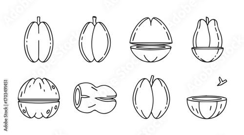 Collection of various tropical fruits and nuts in a simple outline silhouette style