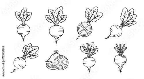 Collection of hand drawn beetroot vegetables with leaves in silhouette style