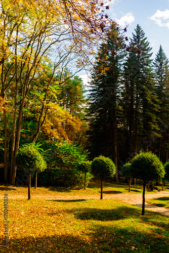 autumn in the park