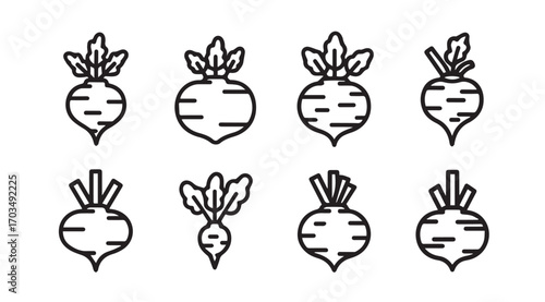 Collection of simple outline beetroot and radish vegetable silhouettes