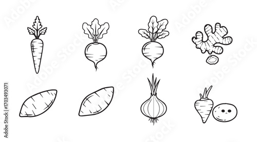 Collection of hand drawn root vegetables and ginger silhouette
