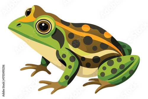 Colorful Cartoon Frog Illustration Vibrant Amphibian with Intricate Patterns and Playful Design Depicting a Lively Green Frog