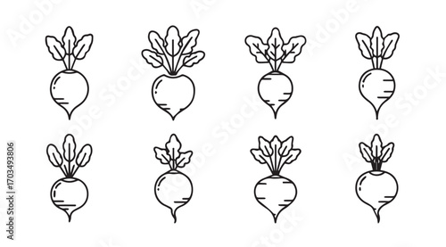 Collection of eight simple line drawing radish vegetables in silhouette