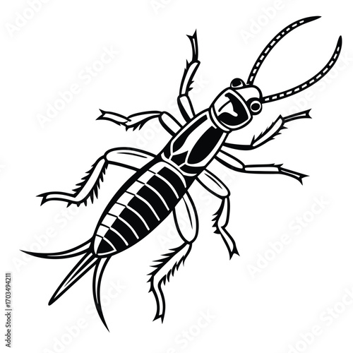 Detailed Line Art Illustration of a Black and White Earwig Insect with Prominent Antennae and Segmented Body